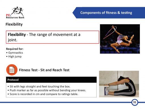 GCSE PE Revision Flash Cards - AQA (9-1) Teachers And Students.